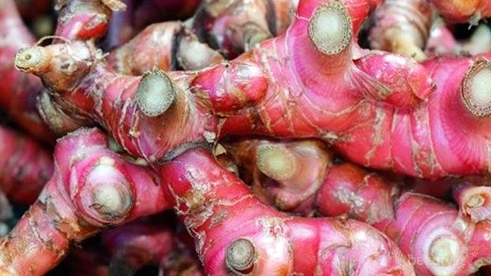 Dianggap Bisa Cegah Corona, Apa Manfaat Jahe Merah untuk Kesehatan?