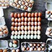 Ingin Telur Tetap Awet? Ini Cara Agar Dapat Bertahan Lama!