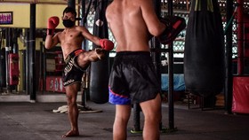 Turis yang Belajar Muay Thai Bisa Gratis Perpanjang Visa Thailand