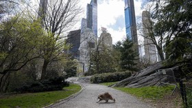'Melarikan Diri' dari Pandemi Corona di Central Park New York