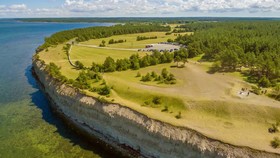 Setengah Populasi Terinfeksi, Pulau Corona Gegerkan Estonia