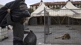 Kelompok Sirkus Italia Terjebak Lockdown A member of the