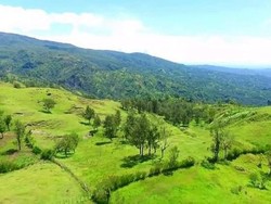 TTS, Selandia Baru dari timur Indonesia