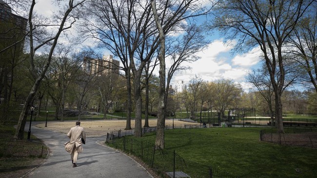 A man walks in the almost deserted Central Park in Manhattan on April 16, 2020 in New York City. - Gone are the softball games, horse-drawn carriages and hordes of tourists. In their place, pronounced birdsong, solitary walks and renewed appreciation for Central Park's beauty during New York's coronavirus lockdown. The 843-acre (341-hectare) park -- arguably the world's most famous urban green space -- normally bustles with human activity as winter turns to spring, but this year due to Covid-19 it's the wildlife that is coming out to play. (Photo by Johannes EISELE / AFP)