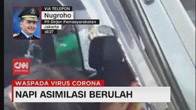 VIDEO: Napi Lapas Berulah Kembali