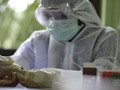 Seluruh Pasien Positif Covid-19 di RSUD Banda Aceh Sembuh