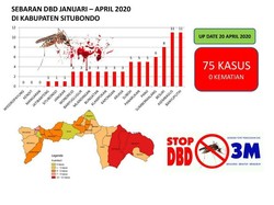 Tersebar di 17 Puskesmas, Jumlah Penderita DBD di Situbondo 75 Orang