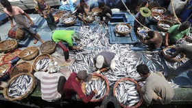 Nelayan Bakal Kantongi BLT Rp600 Ribu