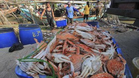 Perusahaan Pengolah Rajungan Raup Rp41 M dari Bursa Saham