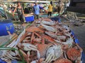 Perusahaan Pengolah Rajungan Raup Rp41 M dari Bursa Saham