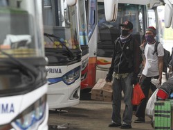 Mudik Gratis Kemenhub Dibuka Besok: Jadwal Berangkat, Rute hingga Kuota