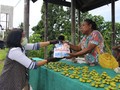 Himpun Rp 7,2 M, BRILiaN Fight Covid-19 Bantu Tangani Corona