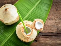 Tips Pilih Kelapa Muda Enak dan Resepnya yang Segar!