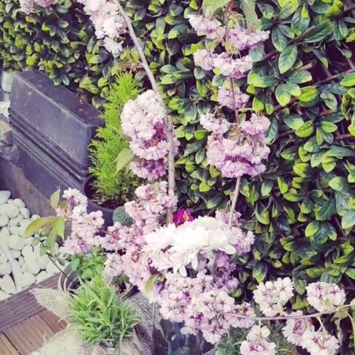 Salah satu bunga yang berada di taman di rumah Angie 'Virgin' di London, Inggris. (Foto: Instagram @angie_virgin)