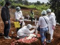 79 Persen Kasus Meninggal Corona dari Pulau Jawa