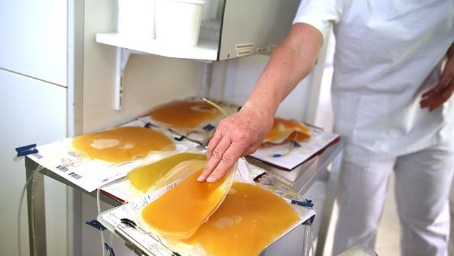 Terapi plasma darah ramai diperbincangkan masyarakat. Donor plasma darah dari pasien sembuh COVID-19 disebut dapat bantu penyembuhan pasien Corona lainnya.