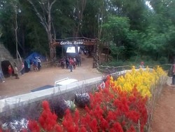 Indahnya Taman Bunga di Wisata Seribu Batu Songgo Langit
