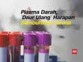 VIDEO: Terapi Plasma Darah, Setitik Harapan Sembuh Corona