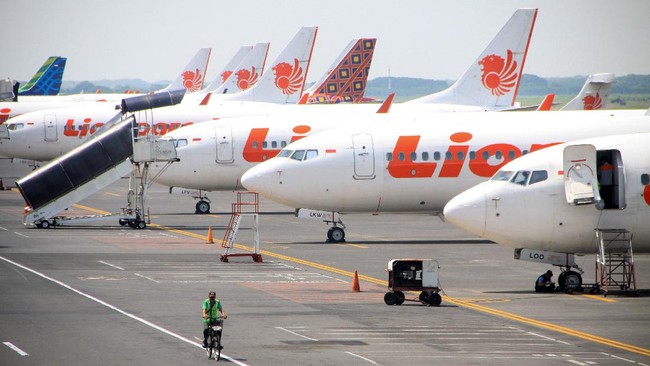 Lion Air meminta maaf terkait kondisi mesin pesawat yang bermasalah sehingga membuat penumpang panik.