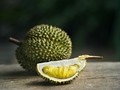 Sumut Ekspor 441 Ton Durian ke China dan Malaysia