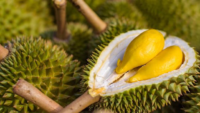 buah durian