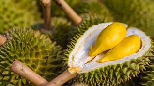 Puluhan Orang di Jerman Dirawat karena 'Mabuk Durian'