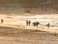 VIDEO: Sukacita Surfer Terbebas Isolasi di Pantai Bondi
