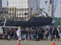 17 Kapal Pesiar Akan Berlabuh di Priok dan Benoa Saat Corona