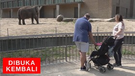 VIDEO: Kebun Binatang Berlin Dibuka Kembali