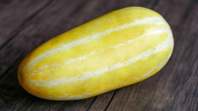 Timun suri or Cucurbitaceae on wood background.