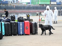 Kemenhub Fasilitasi Pulangnya 375 ABK Carnival Splendor
