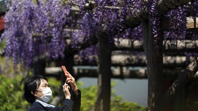 A visitor wearing a mask to help stop the spread of the new coronavirus takes a photo of wisteria flowers blooming in Tokyo Thursday, April 23, 2020. Japan's Prime Minister Shinzo Abe expanded a state of emergency to all of Japan from just Tokyo and other urban areas as the virus continues to spread. (AP Photo/Eugene Hoshiko)