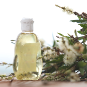 Eksistensi Minyak Kayu Putih Meningkat Selama Pandemi, Ternyata Ini Manfaat dan Efek Sampingnya!