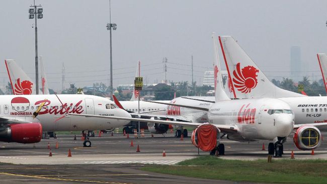 Lion Air Layani Rapid Test Covid-19, Cuma Rp95 Ribu - CNN Indonesia