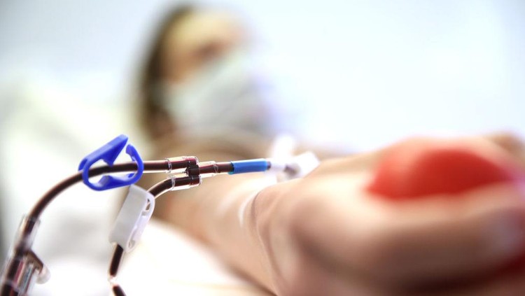 Pasien Covid-19 yang dinyatakan sembuh menyumbangkan plasma darah 

untuk penelitian antibodi Covid-19.