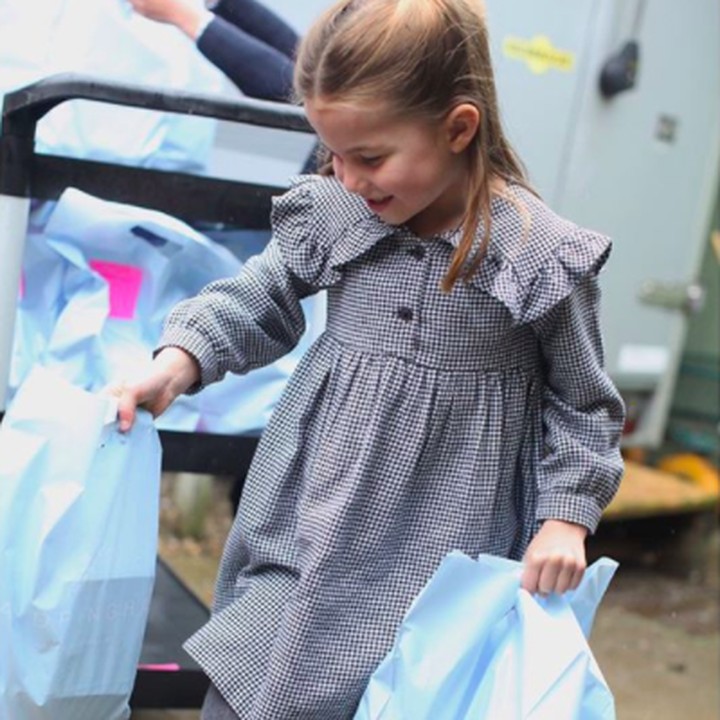 <p>Princess Charlotte merupakan adik dari Prince George, yang genap 7 tahun pada 22 Juli mendatang. Sedangkan sang adik, Prince Louis baru menginjak 2 tahun pada 23 April lalu. (Foto: Instagram @kensingtonroyal)</p>