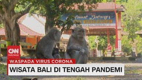 VIDEO: Wisata Bali di Tengah Pandemi