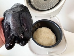 Silkie Chicken, Ayam Berwarna Hitam Legam yang Unik dari China