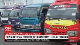 VIDEO: Bawa Ratusan Pemudik, Belasan Travel Gelap Ditahan