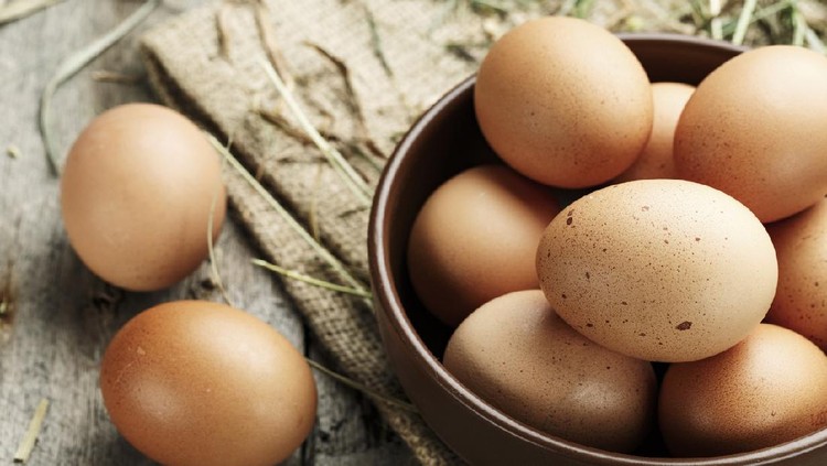 Telur