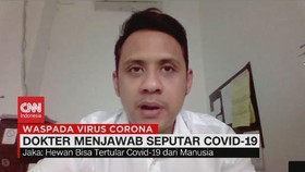 VIDEO: Jaka: Hewan Bisa Tertular Covid-19 dari Manusia