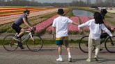 Gaya Hidup Bersepeda di Tengah Pandemi FILE - In this April 12, 2020, file photo, a couple stops walking to observe social distancing from passing cyclists on the main road in Lisse, Netherlands. As countries across the world seek to get their economies back on track after coronavirus lockdowns are over, some people are encouraging the use of bicycles as a way to avoid unsafe crowding on trains and buses. (AP Photo/Peter Dejong, File)