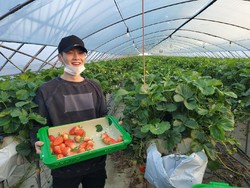 Pergi Berkebun, Begini Keseruan Suga BTS Panen Stroberi!