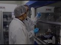 VIDEO: Peneliti Lab Wuhan Bantah Teori Konspirasi Asal Virus