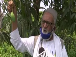 Doctor Mango Varian Terbaru Mangga Didedikasikan Untuk Petugas Kesehatan