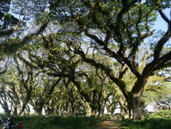 Dari 10 Kota Ini Mana yang Paling Dirindukan?