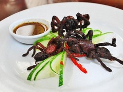 Hii..! Makanan Serba Tarantula Ini Bikin Merinding