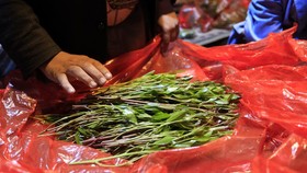 Mengunyah Daun Qat, Bahagia yang Sederhana di Negara Perang