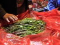 Mengunyah Daun Qat, Bahagia yang Sederhana di Negara Perang