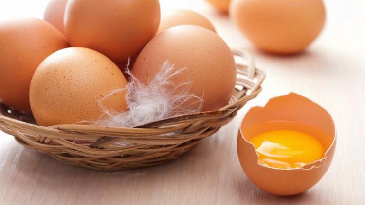 telur infertil telur infertil